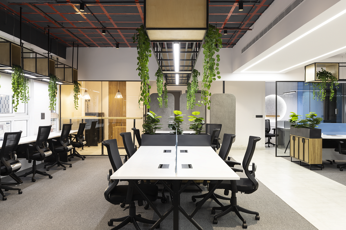 Biophilic Design Bringing Nature in the Workplace to Increase Employee Productivity